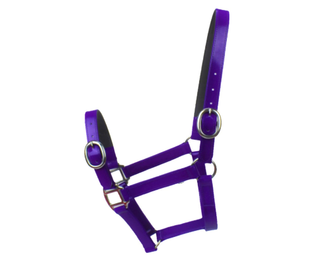 Purple PVC Head Collar