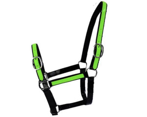 Black and Lime Green PVC Head Collar