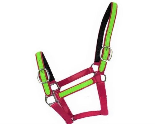 Pink & Lime Green PVC Head Collar  **NEW COLOUR**
