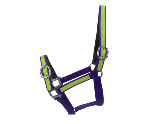 Purple and Fluro Yellow PVC Head Collar end of line (pony)